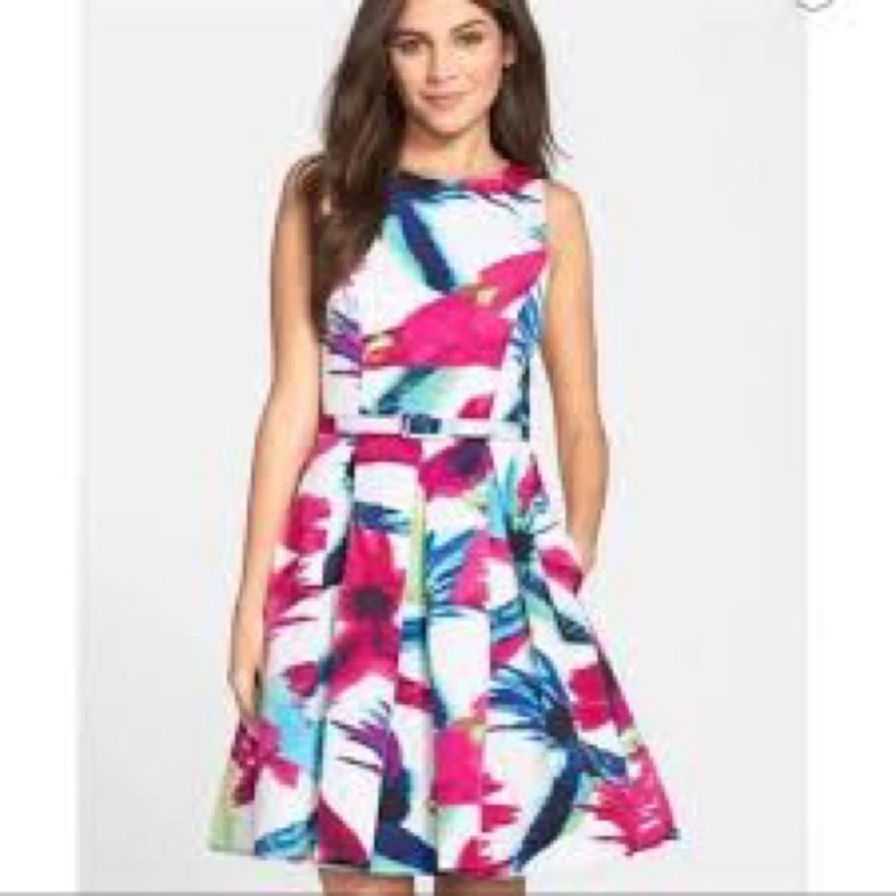 Eliza J Floral Printed Cutout Belted Fit & Flare Dress 12